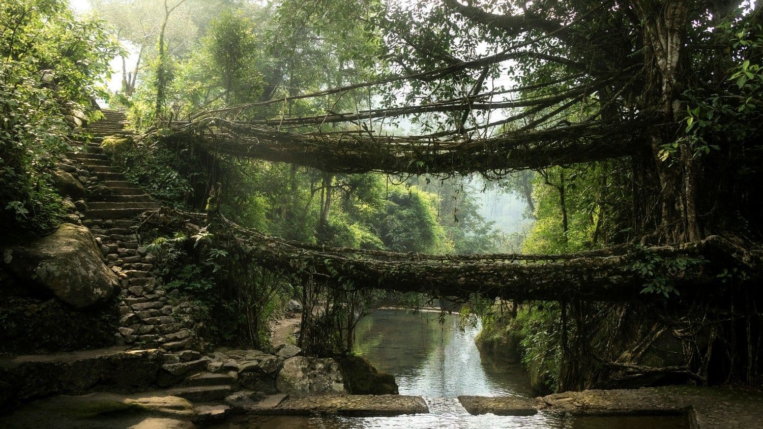 Travel Stories & Guides