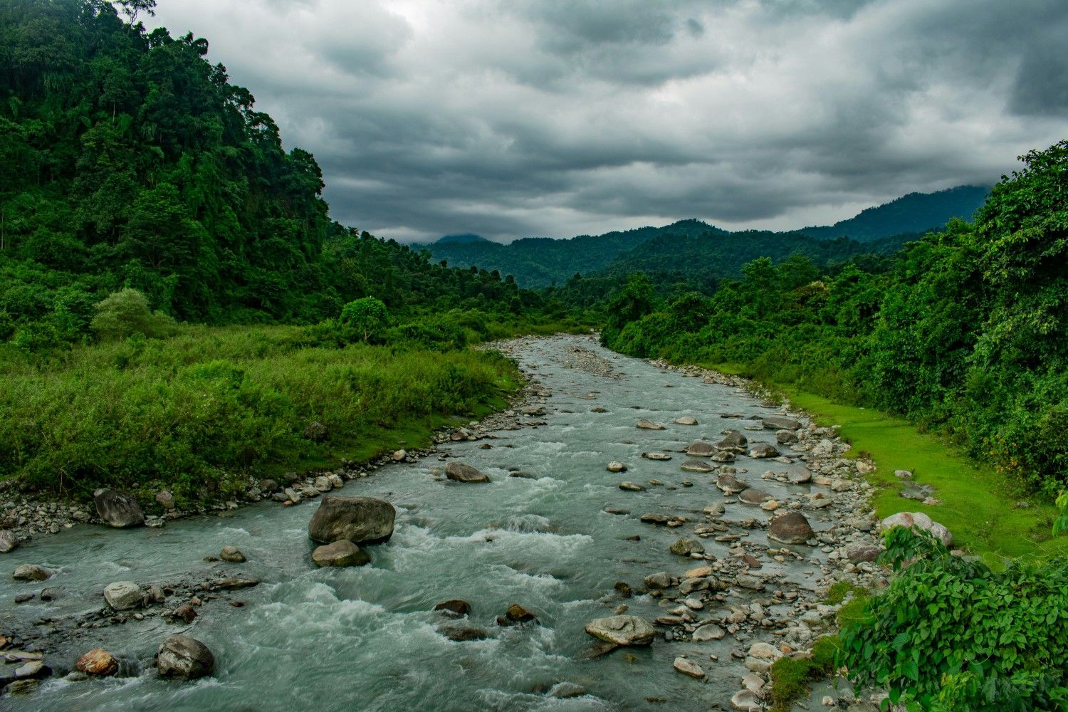 North Bengal Hills & Dooars Region