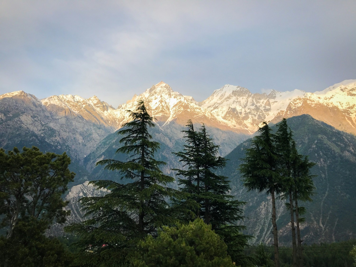 Scenic Shimla, Manali & Solang Valley