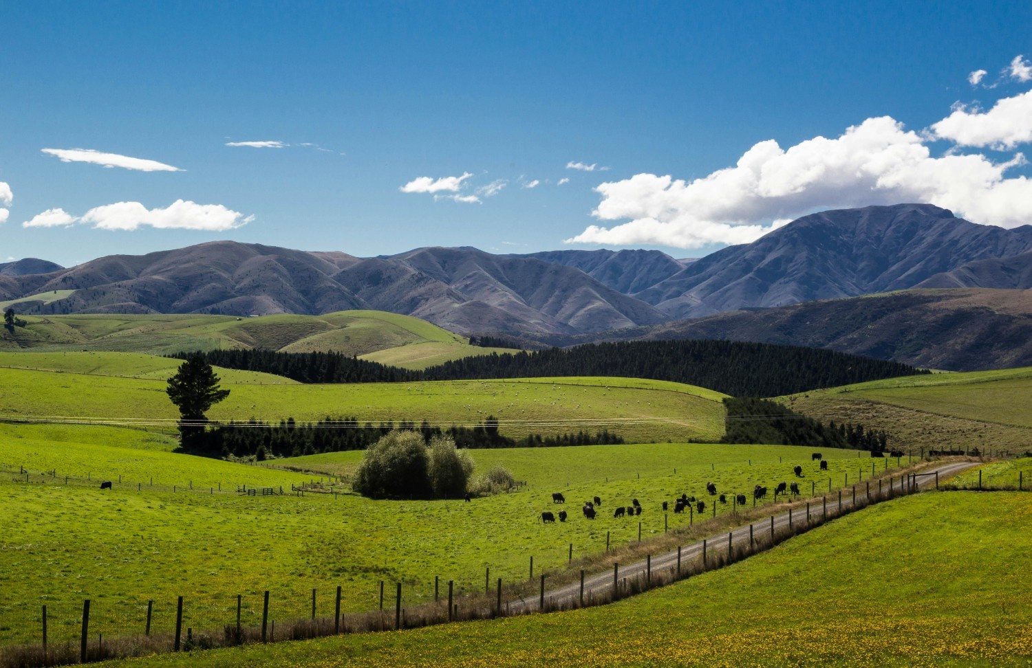 New Zealand Scenic South Island